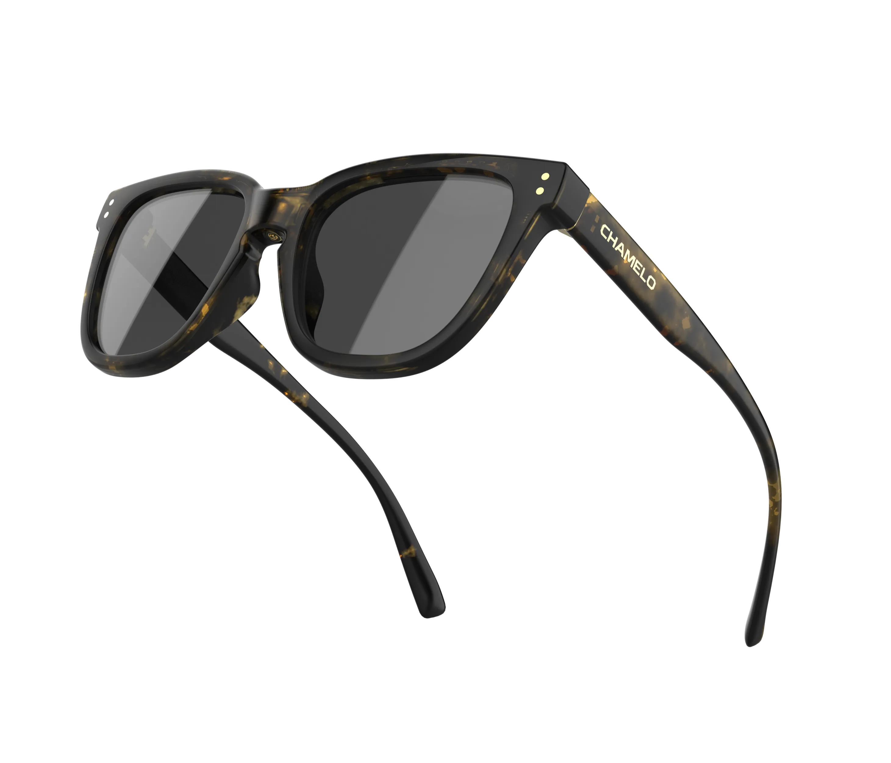 リボルト SUPER LIGHT FRAME BLK x Tortoise スキー・スノーボード