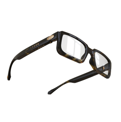 Infinity Tortoise