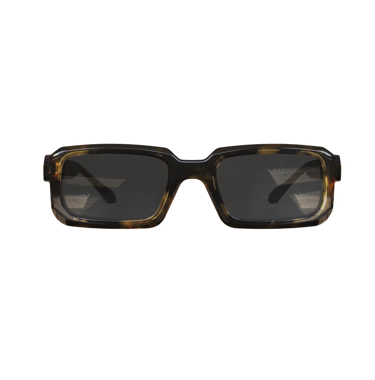 Infinity Tortoise